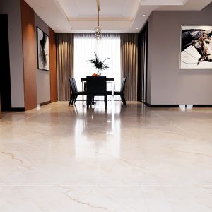 Gạch lát nền V6601-PA