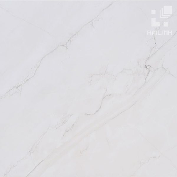 Gạch lát nền V8802-PA